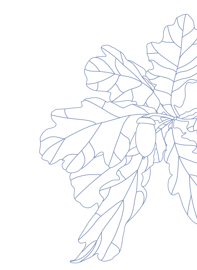 391fa281_d561_4ee2_80d0_e1e3dab9ce98_47b2762b6f-1
