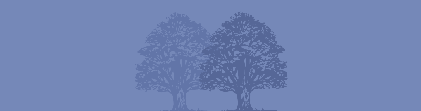 Custom ETF Solutions for Advisors